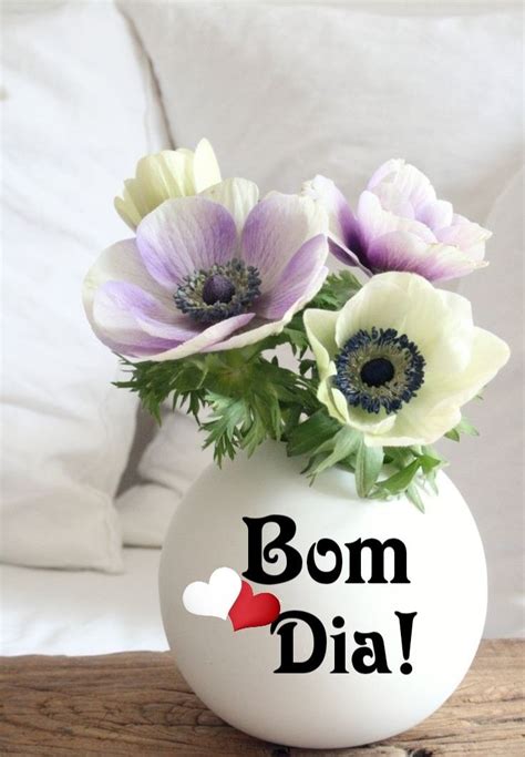 bom dia meaning